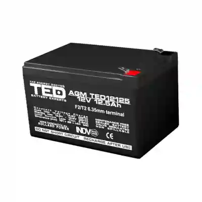 Acumulator AGM VRLA 12V 12,5A dimensiuni 151mm x 98mm x h 95mm F2 TED Battery Expert Holland TED002754 (4)